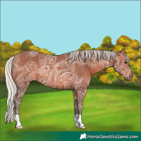 Horse Color:Silver Brown Ice Rabicano