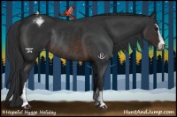 Horse Color:Brown Sabino Appaloosa Rabicano 