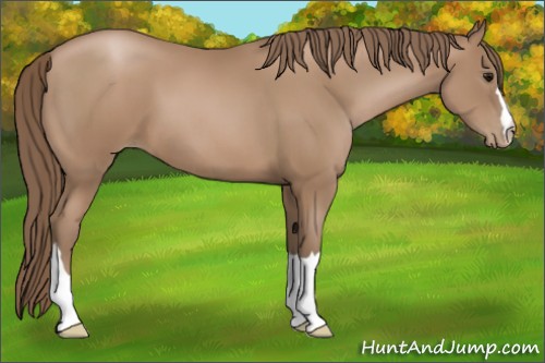 Horse Color:Black Pearl 