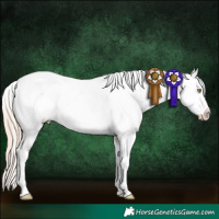 Horse Color:White Spotted Gold Champagne Frame Near Fewspot