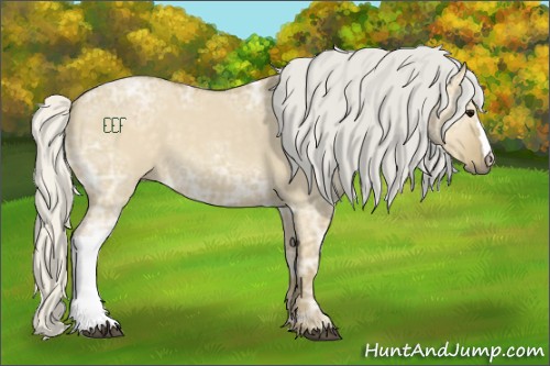Horse Color:Silver Smoky Grullo Ice 