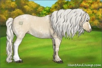 Horse Color:Silver Smoky Grullo Ice 
