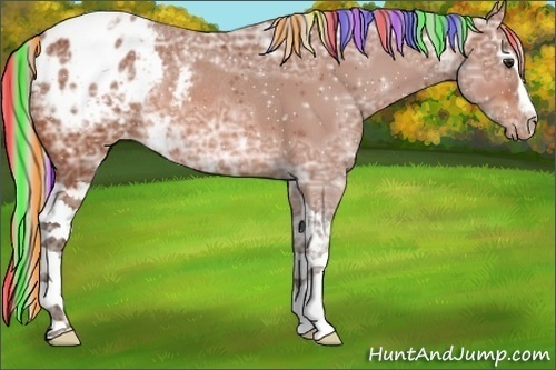 Horse Color:Painted White Spotted Silver Bay Ice Appaloosa Rabicano