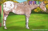 Horse Color:Painted White Spotted Silver Bay Ice Appaloosa Rabicano 