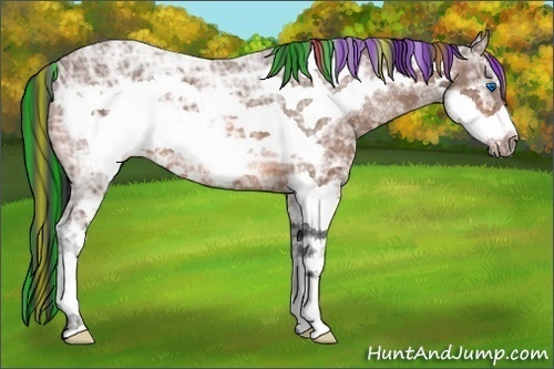 Horse Color:Painted White Spotted Bay Ice Frame