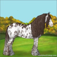 Horse Color:Liver Chestnut Sabino Splash Near Leopard  and Liver Chestnut Sabino Splash Near Leopard 