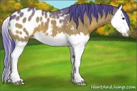 Horse Color:Watercolor Bay Splash Appaloosa 