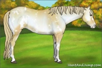 Horse Color:Watercolor White Spotted Red Onyx Pearl 