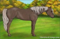 Horse Color:Silver Black 