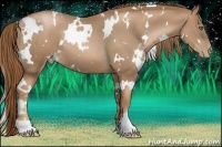 Horse Color:White Spotted Liver Chestnut Pearl 