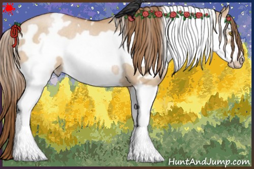 Horse Color:White Spotted Brown Pearl Dun Splash Frame Rabicano 