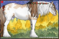 Horse Color:White Spotted Brown Pearl Dun Splash Frame Rabicano