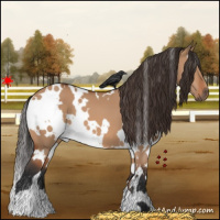 Horse Color:White Spotted Bay Dun