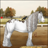 Horse Color:White Spotted Silver Black Splash