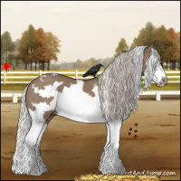 Horse Color:White Spotted Silver Grullo Splash Frame