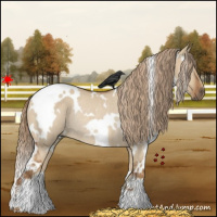 Horse Color:White Spotted Red Dun Rabicano