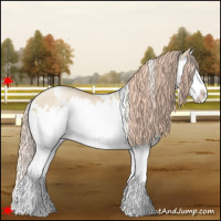 Horse Color:White Spotted Red Dun Pearl Splash