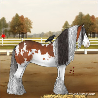 Horse Color:White Spotted Bay Splash