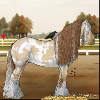 Horse Color:White Spotted Red Dun