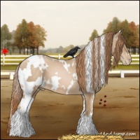 Horse Color:White Spotted Smoky Black Pearl 