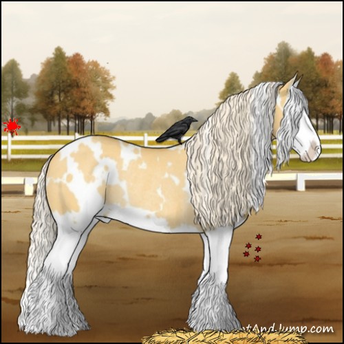 Horse Color:White Spotted Palomino Dun Splash Rabicano 