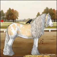 Horse Color:White Spotted Palomino Dun Splash Rabicano 