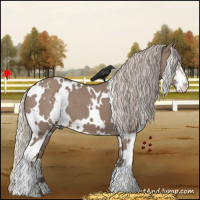 Horse Color:White Spotted Silver Grullo Sabino 