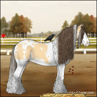 Horse Color:White Spotted Amber Cream Champagne Dun Splash 