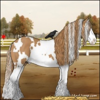 Horse Color:White Spotted Chestnut Splash 