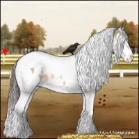Horse Color:White Spotted Bay Dun Splash Tobiano Appaloosa 