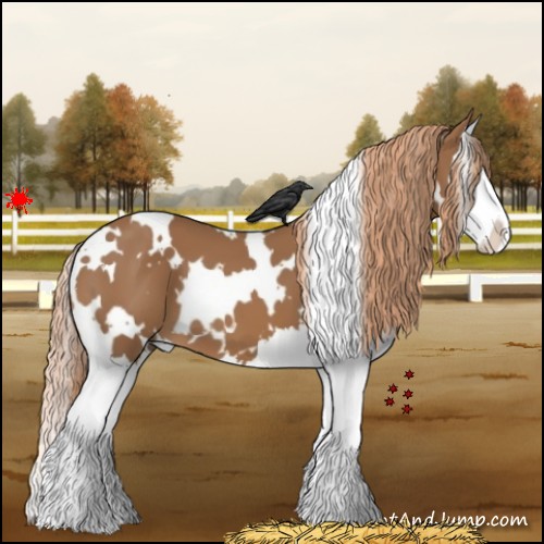 Horse Color:White Spotted Chestnut Splash