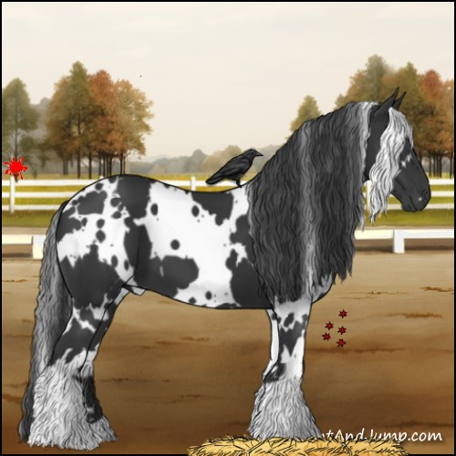 Horse Color:White Spotted Black 