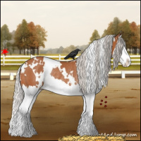 Horse Color:White Spotted Silver Bay Splash Rabicano 