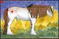 Horse Color:White Spotted Red Roan 