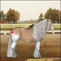 Horse Color:White Spotted Silver Bay Dun Varnish
