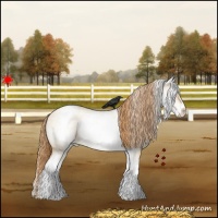 Horse Color:White Spotted Bay Roan Pearl Dun Varnish 