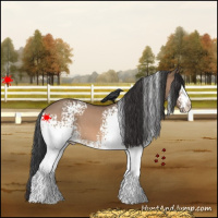 Horse Color:White Spotted Bay Roan Dun 