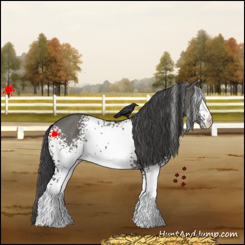 Horse Color:White Spotted Grullo Varnish 