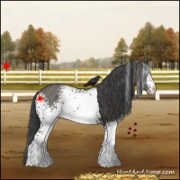 Horse Color:White Spotted Grullo Varnish 
