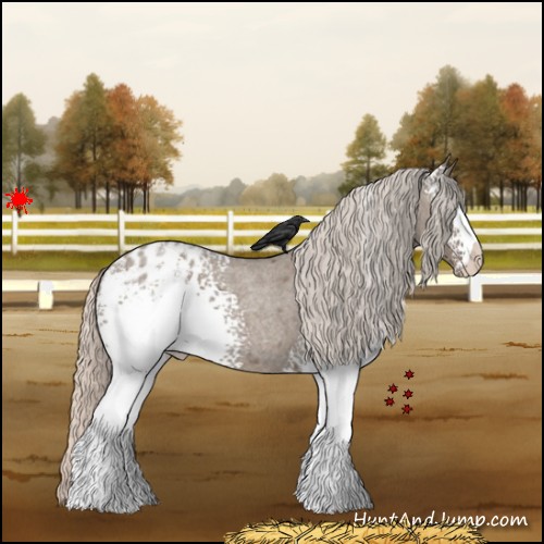 Horse Color:White Spotted Silver Grullo Roan Appaloosa 