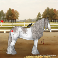 Horse Color:White Spotted Silver Blue Roan 