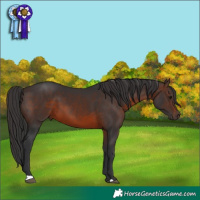 Horse Color:Brown 