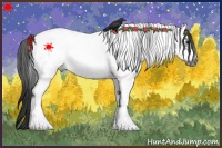 Horse Color:White Spotted Black Frame 