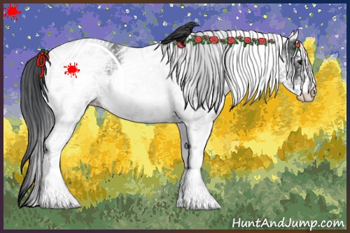 Horse Color:White Spotted Blue Roan