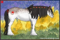 Horse Color:White Spotted Bay 