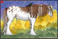 Horse Color:White Spotted Chestnut Sabino Splash Blanket