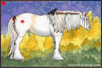 Horse Color:White Spotted Gold Cream Champagne 