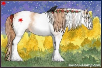 Horse Color:White Spotted Gold Champagne