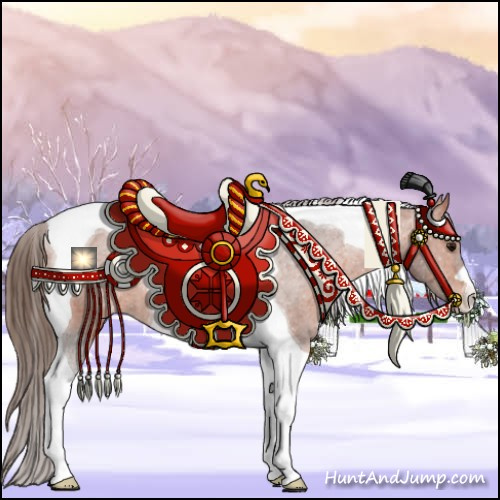 Horse Color:Bay Tobiano Appaloosa 