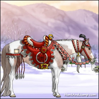 Horse Color:Bay Tobiano Appaloosa 